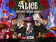 Zgorzelec Wydarzenie Spektakl Alice Amazing Circus Show